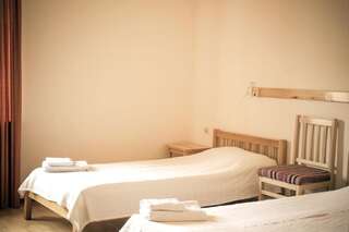 Отель Hotel Mirhav Горис Просторный двухместный номер с 2 отдельными кроватями-21